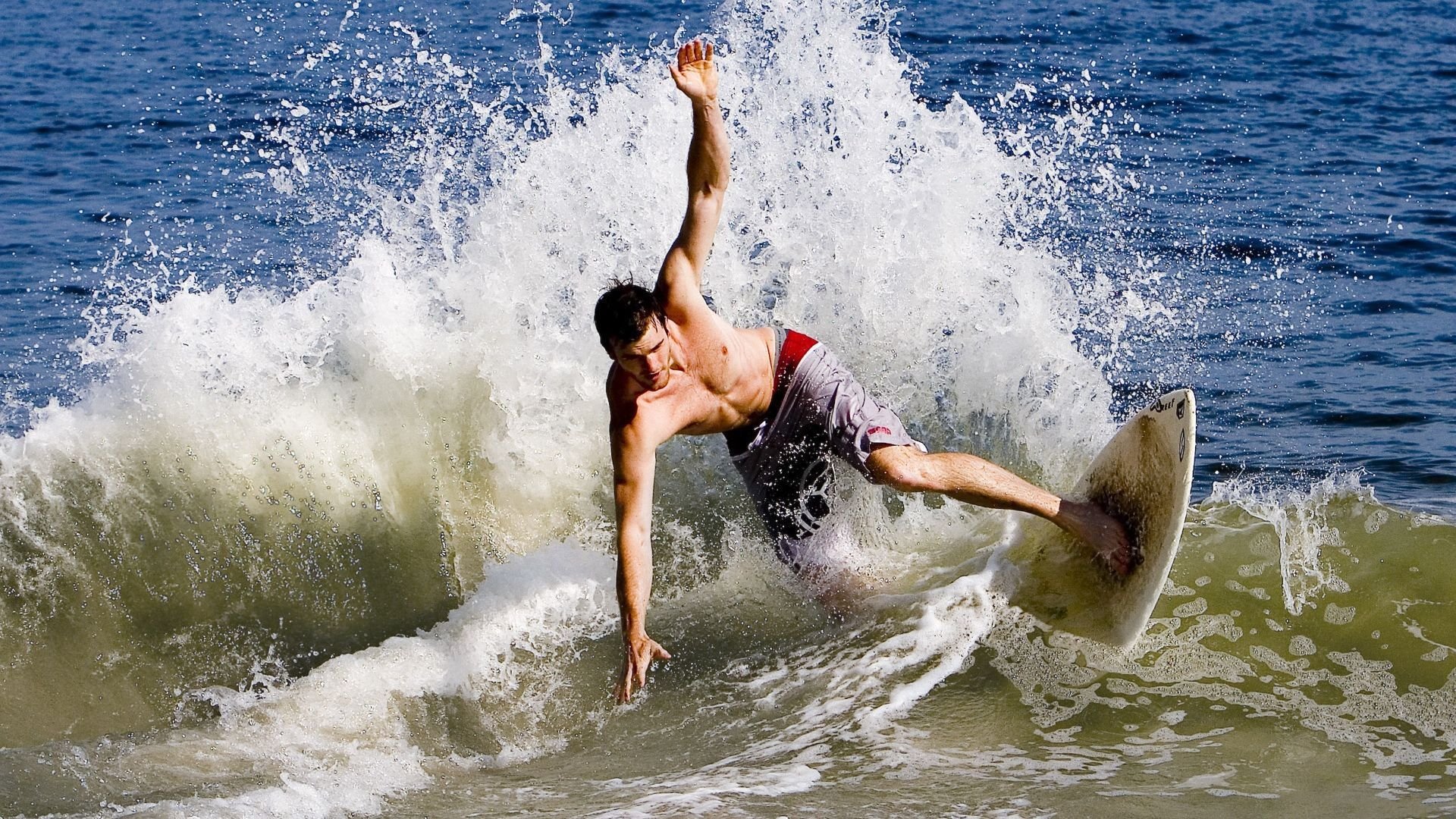  费内巴切足球阵容 